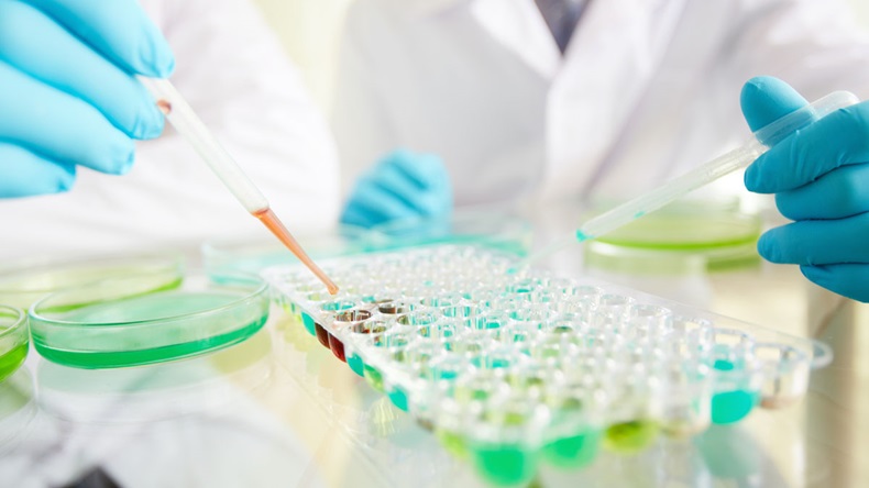 Scientist drops liquid onto sample trays in research laboratory