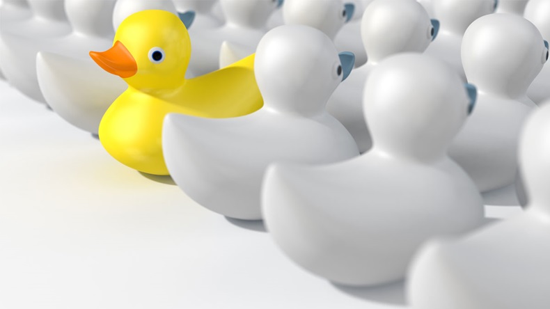A non-conformist depiction of a yellow rubber bath duck swimming against the flow of white rubber ducks on an isolated white studio background. 3D render