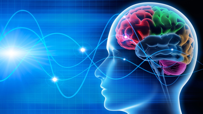 Brain waves - EEG - brain activity - Illustration 