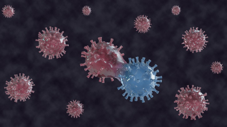 Virus and mutations process 3d illustartion. New virus mutation of coronavirus, hantavirus, COVID-19, pandemic concept background for health, medical design. Coronavirus mutation 3d rendering.