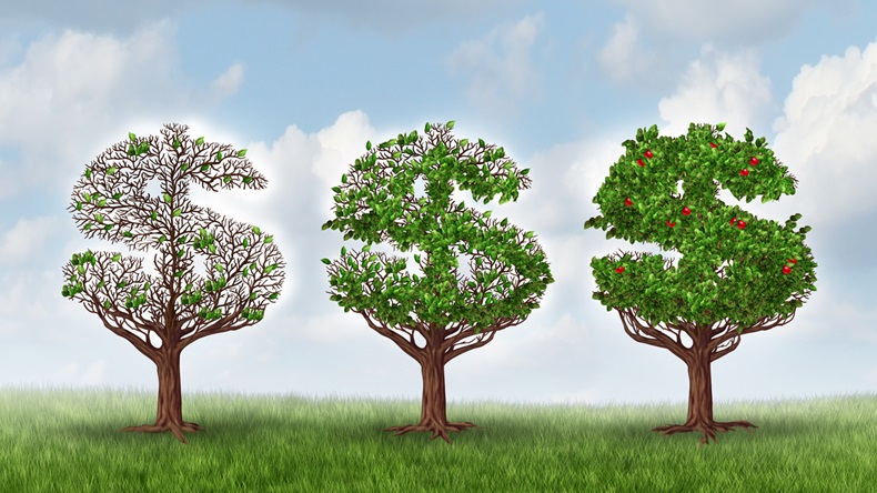 Economic recovery and growing wealth business metaphor as a group of trees shaped as a dollar sign growing leaves and bearing fruit as a symbol of wealth and financial success in a growth industry.