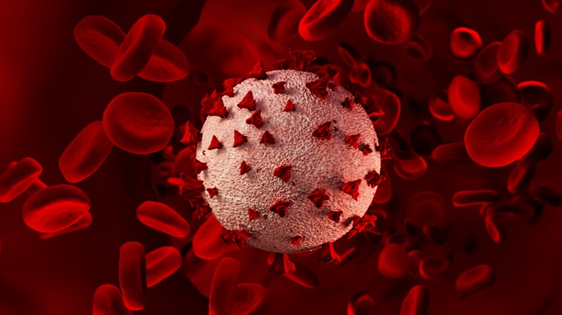 3D rendering of the coronavirus and red blood cells.