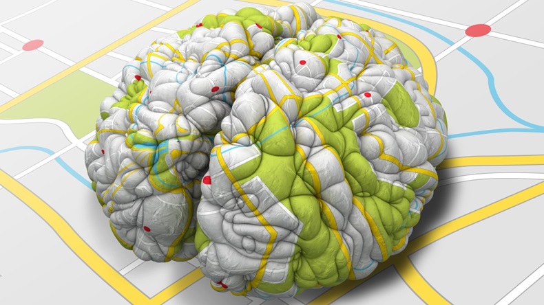 A brain wrapped with a simple road map texture