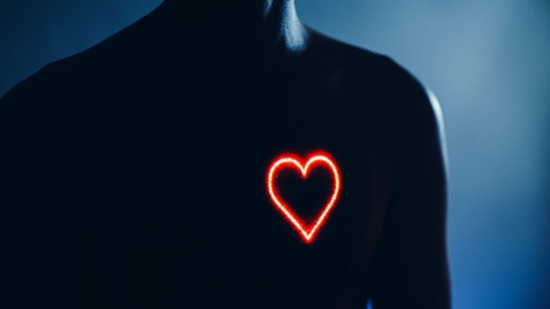 COMPUTER IMAGE OF HEART IN MAN'S CHEST. 