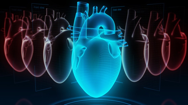 Digital model of the heart.